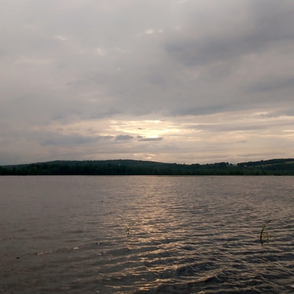 Meet your Posher, Elizabeth - Picture 4 of 15